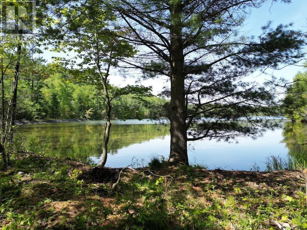 












1016 Lauzon Village RD

,
Algoma Mills,







Ontario
P0R1A0

