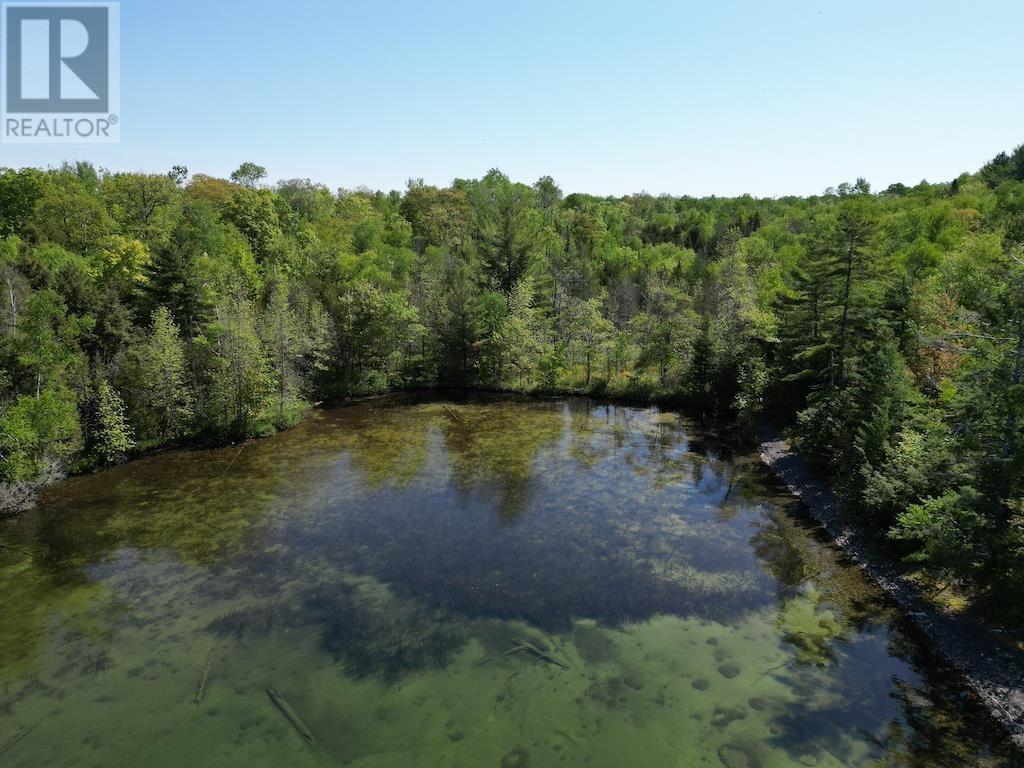 












1016 Lauzon Village RD

,
Algoma Mills,







Ontario
P0R1A0

