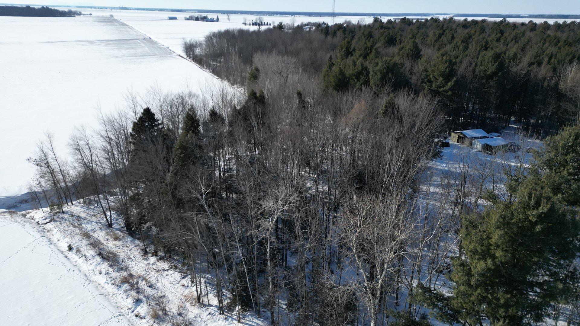 









495


Rg Ste-Cécile

,
Saint-David,




QC
J0G1L0

