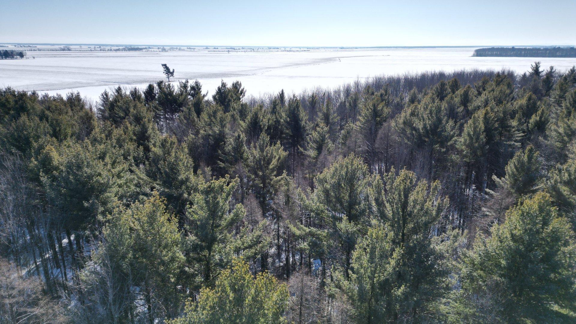 









495


Rg Ste-Cécile

,
Saint-David,




QC
J0G1L0

