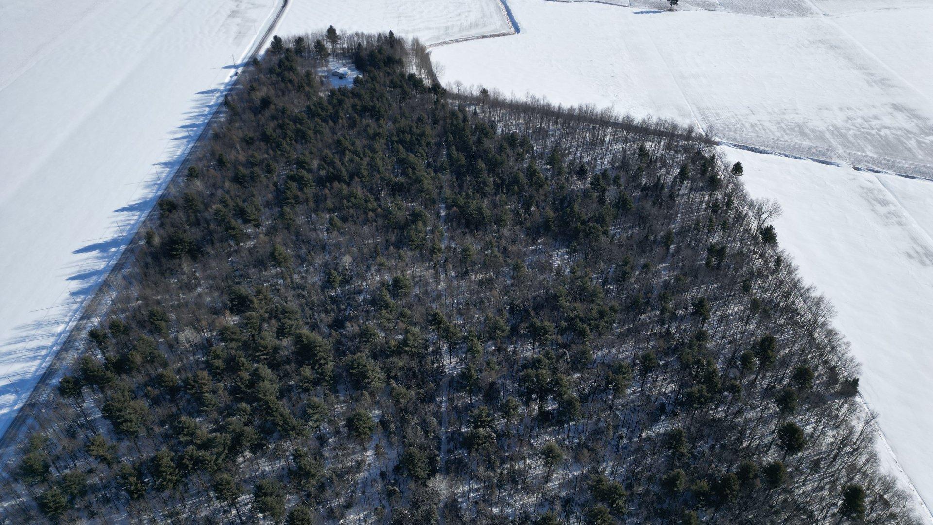 









495


Rg Ste-Cécile

,
Saint-David,




QC
J0G1L0

