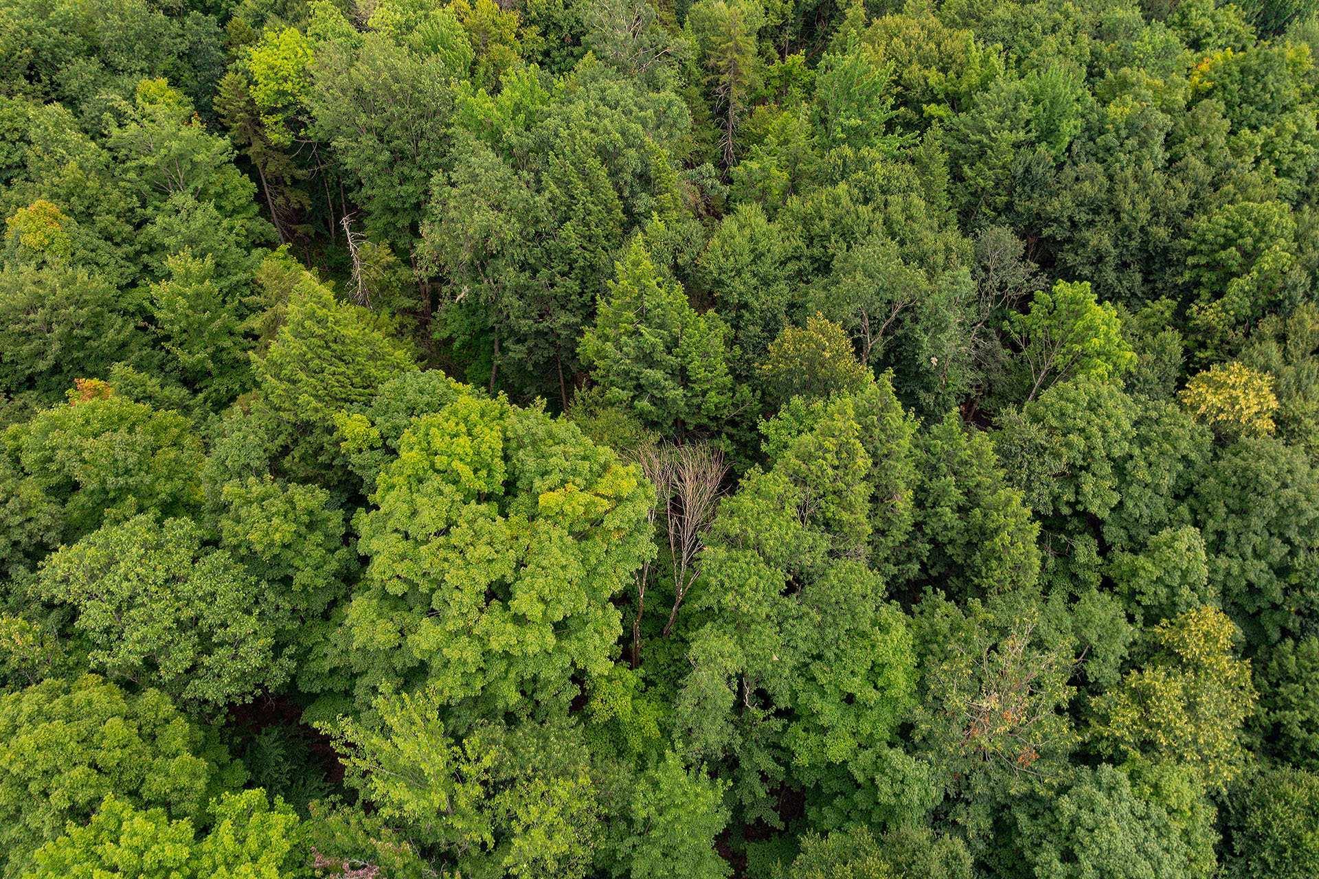 












Ch. Élie

,
Sutton,







QC
J0E2K0

