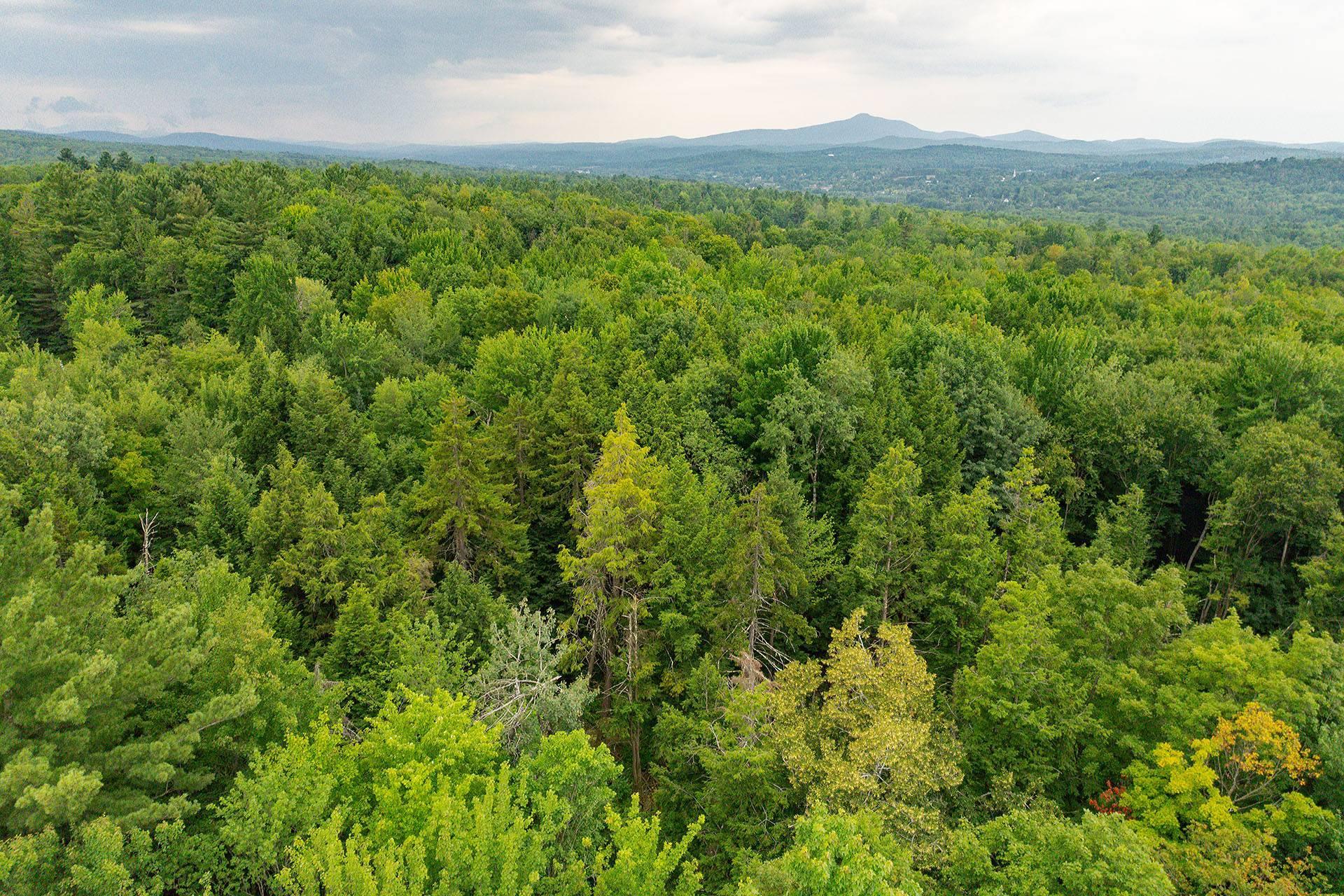 












Ch. Élie

,
Sutton,







QC
J0E2K0

