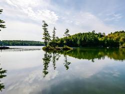 Bord de l'eau