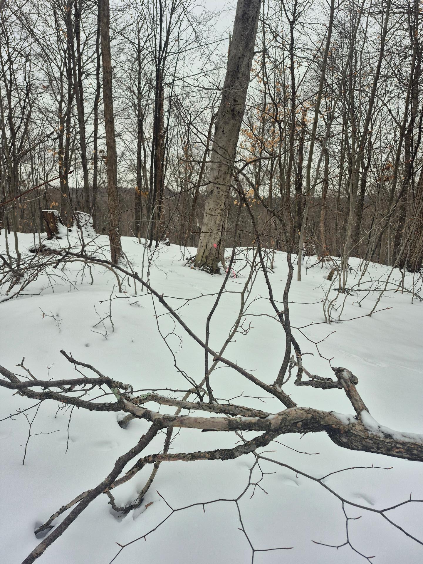 












Ch. Hunter

,
Wentworth,







QC
J8H0A7

