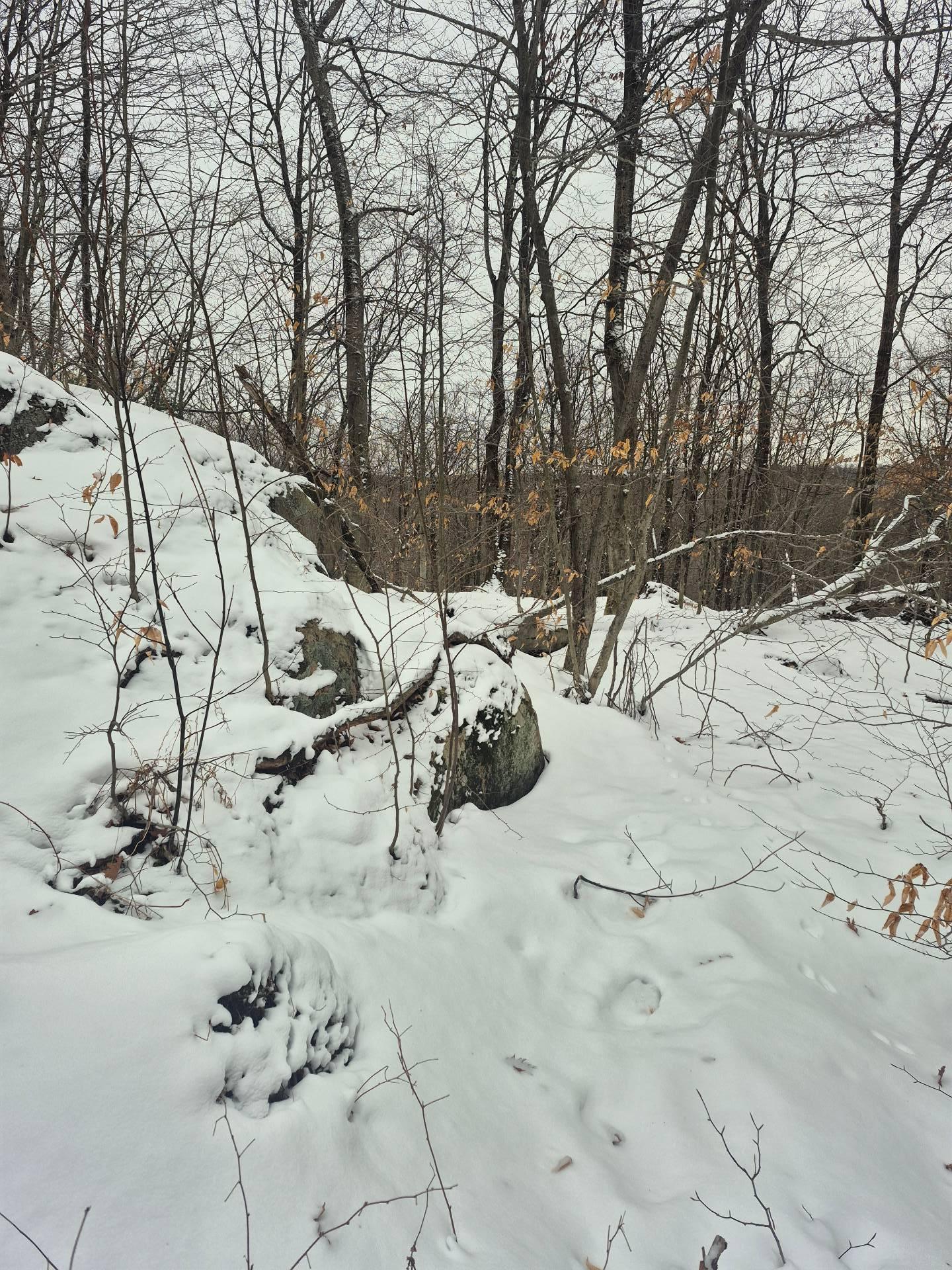 












Ch. Hunter

,
Wentworth,







QC
J8H0A7

