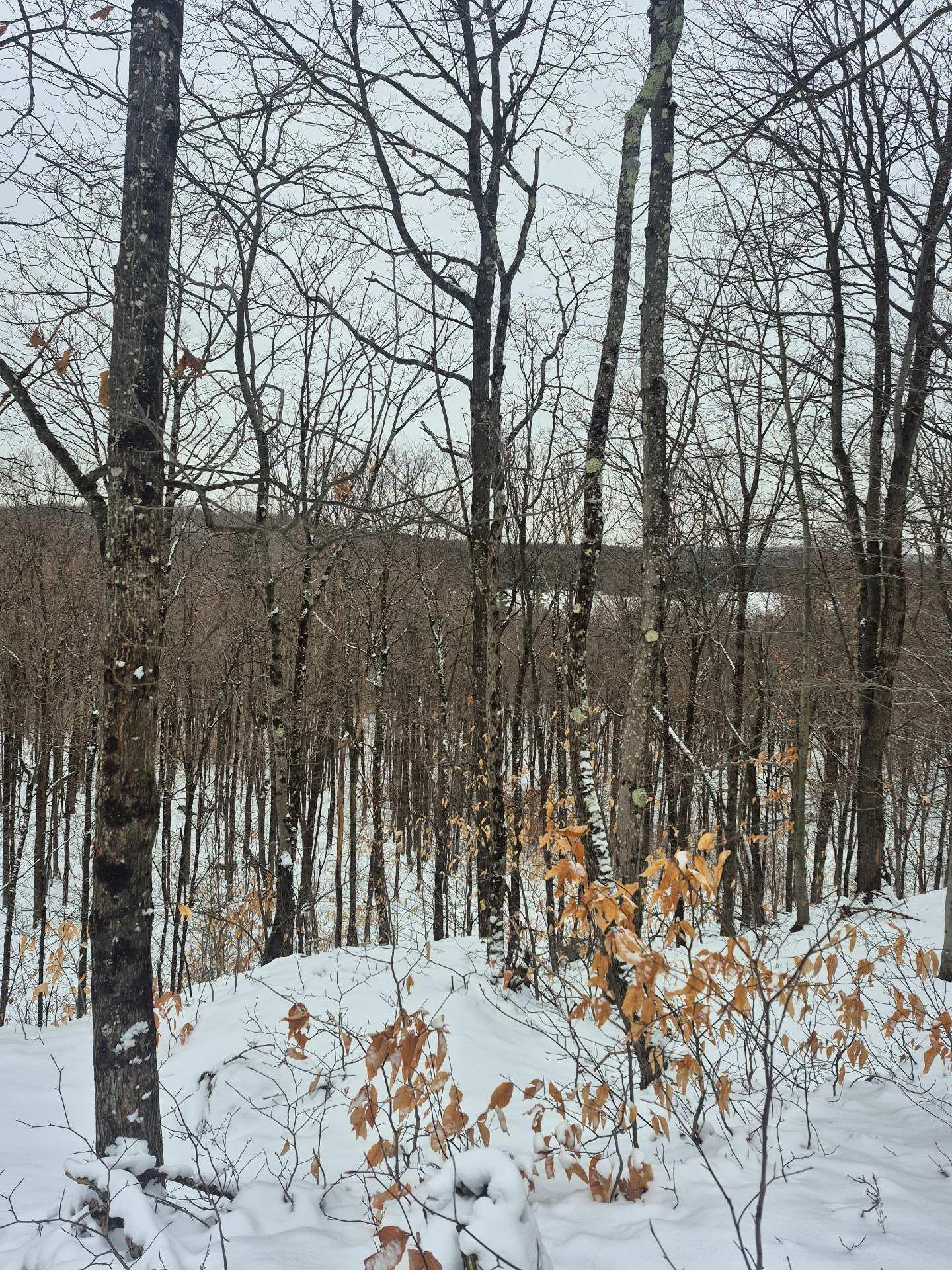 












Ch. Hunter

,
Wentworth,







QC
J8H0A7

