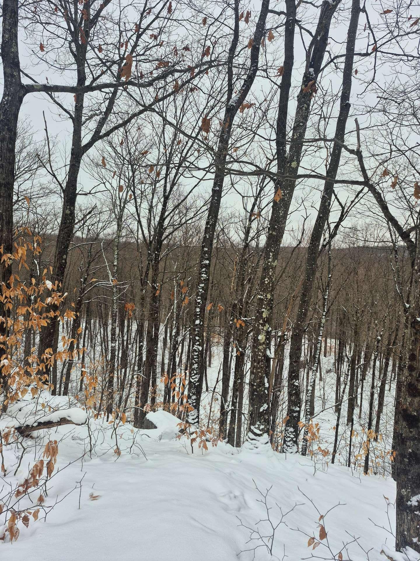 












Ch. Hunter

,
Wentworth,







QC
J8H0A7

