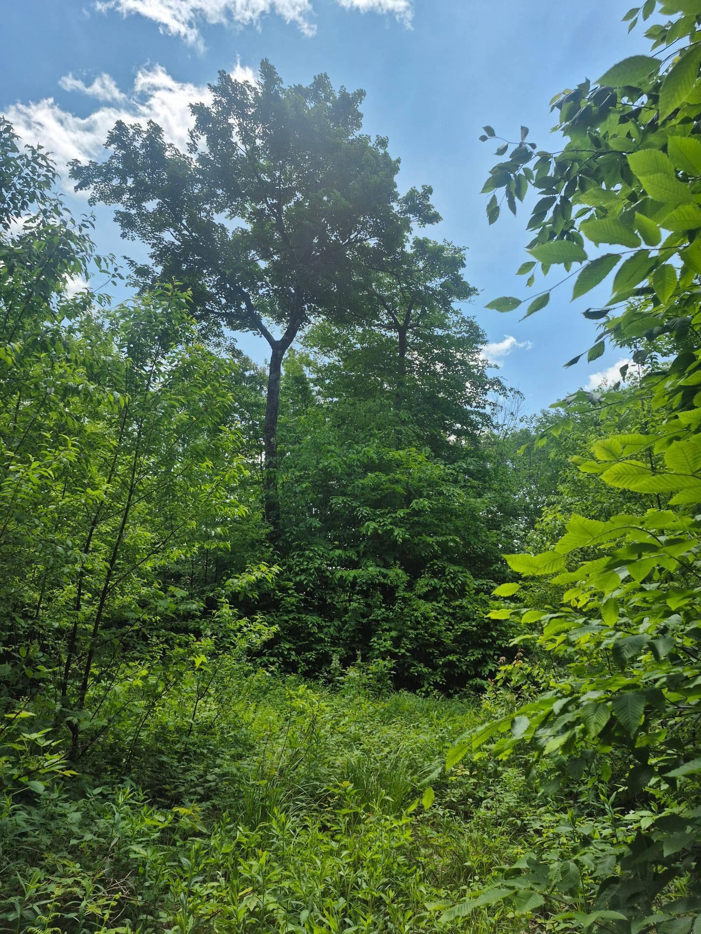 












Ch. Hunter

,
Wentworth,







QC
J8H0A7

