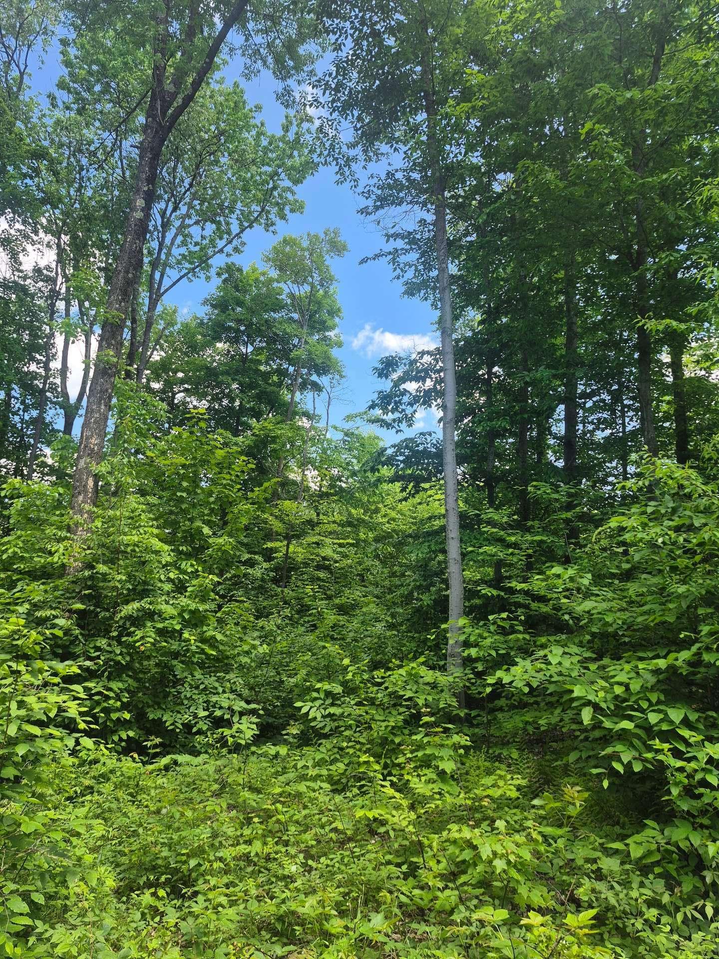 












Ch. Hunter

,
Wentworth,







QC
J8H0A7


