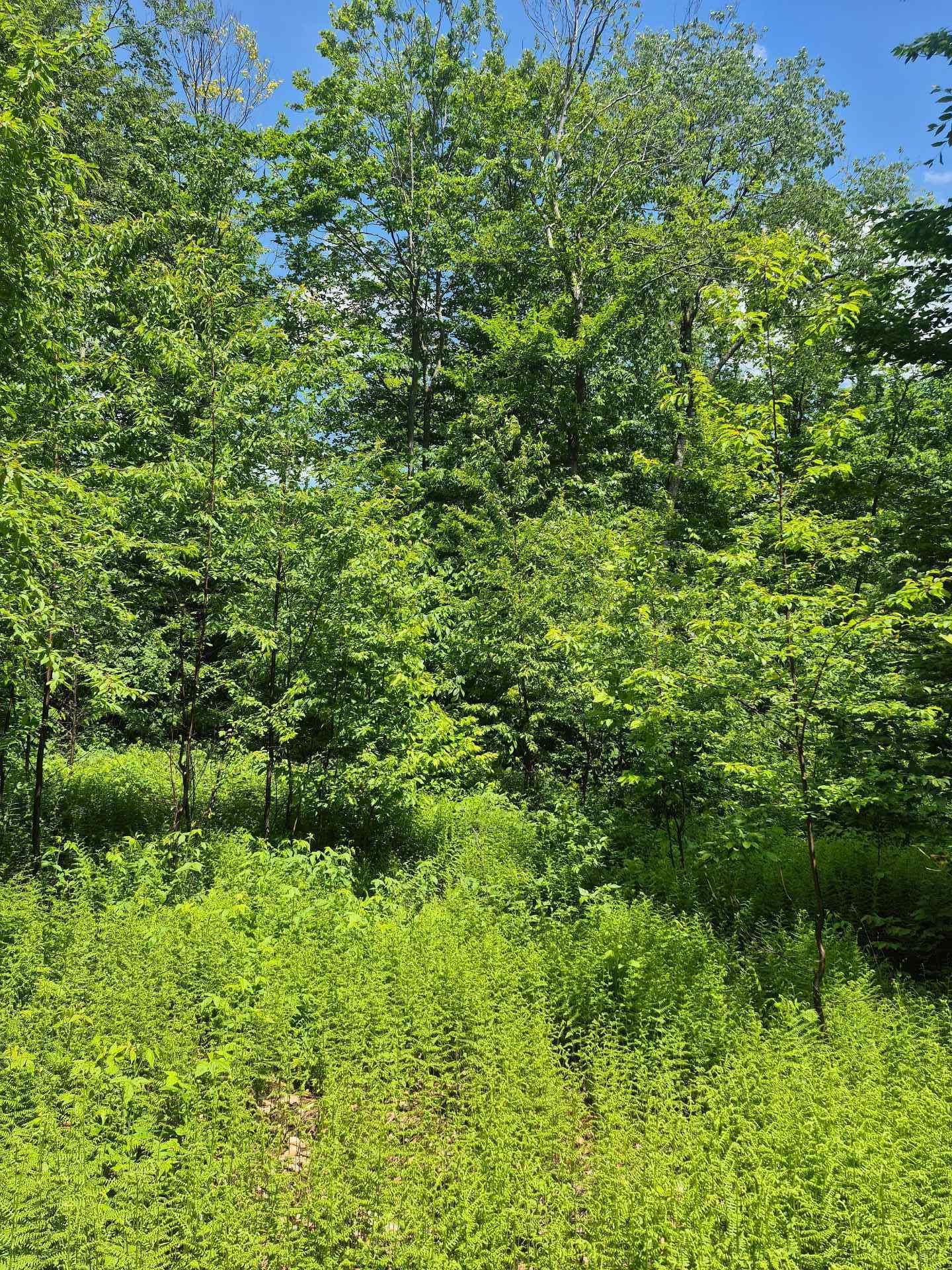 












Ch. Hunter

,
Wentworth,







QC
J8H0A7

