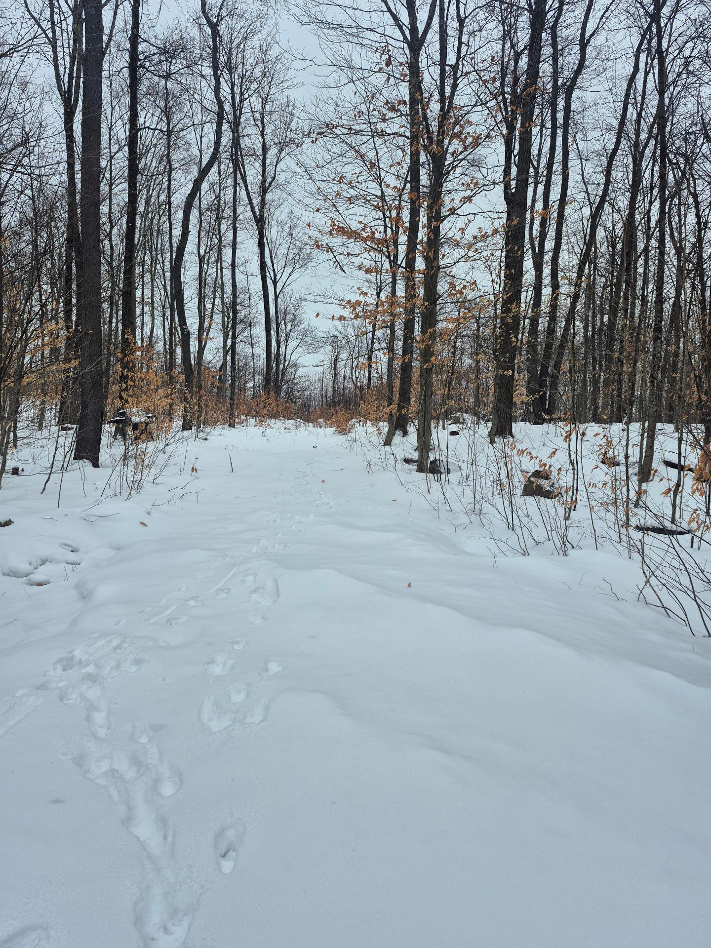 












Ch. Hunter

,
Wentworth,







QC
J8H0A7

