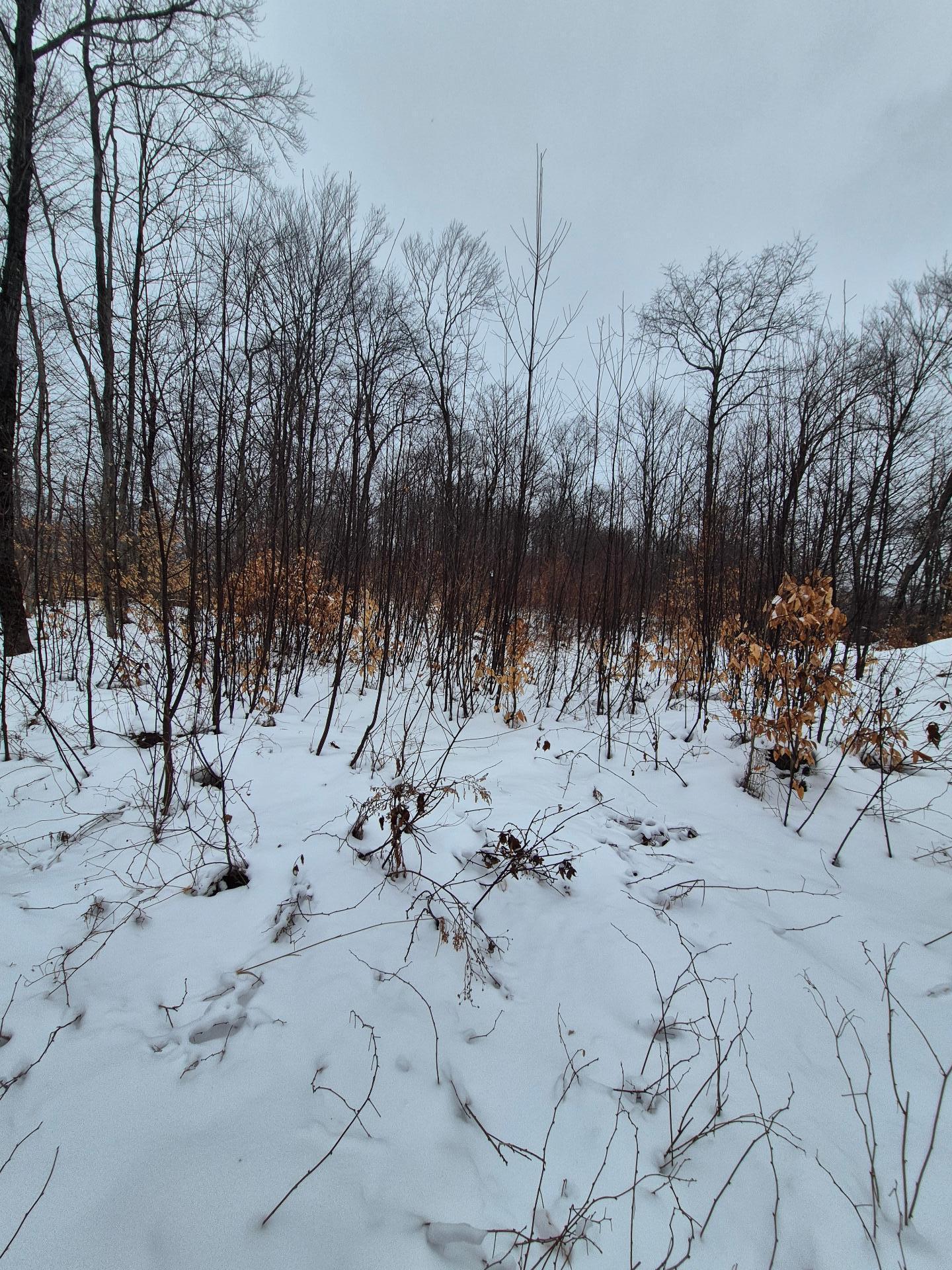












Ch. Hunter

,
Wentworth,







QC
J8H0A7


