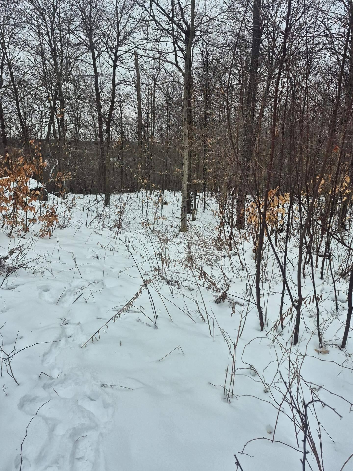 












Ch. Hunter

,
Wentworth,







QC
J8H0A7


