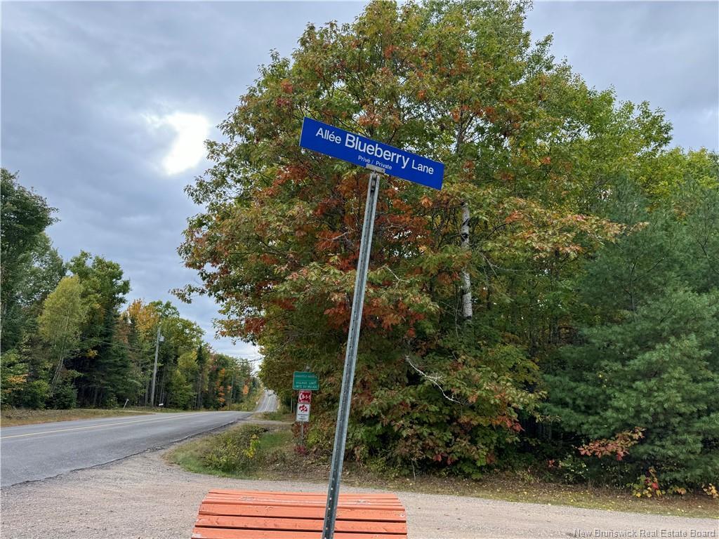









-


Blueberry

LANE,
Codys,







NB
E4C 1E3

