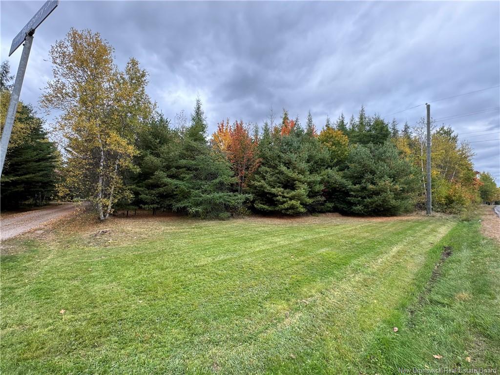 









-


Blueberry

LANE,
Codys,







NB
E4C 1E3

