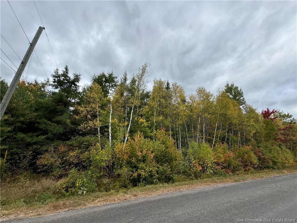 









-


Blueberry

LANE,
Codys,







NB
E4C 1E3

