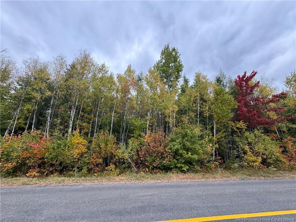 









-


Blueberry

LANE,
Codys,







NB
E4C 1E3

