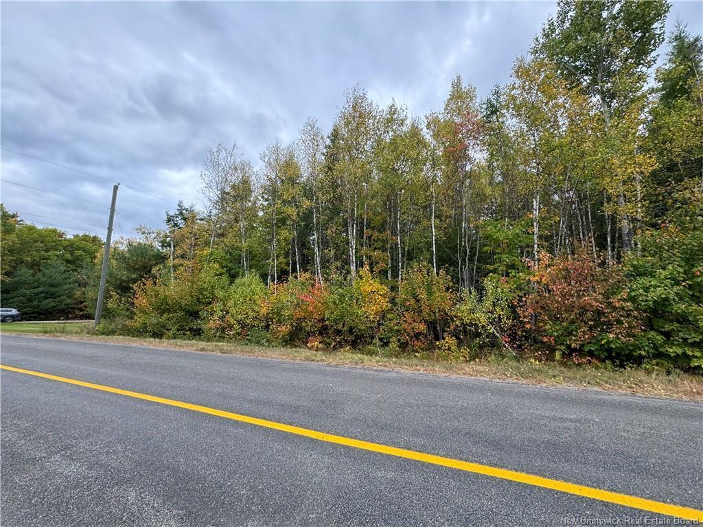 









-


Blueberry

LANE,
Codys,







NB
E4C 1E3

