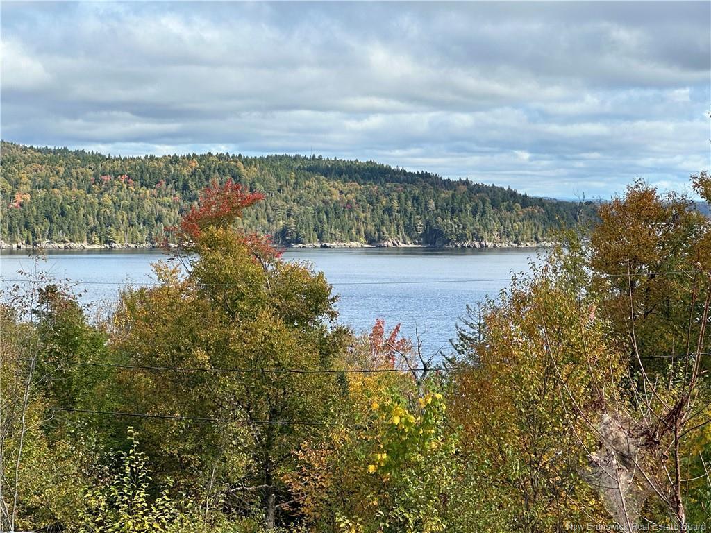 









41-52


Hillside

RD,
Grand Bay-Westfield,







NB
E5K 2L3

