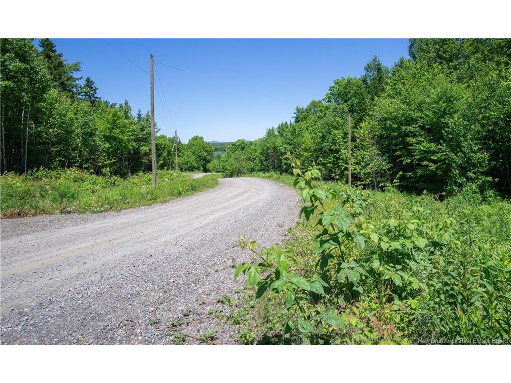 









21-26


Misty Mountain

RD,
Johnson Settlement,







NB
E5A 3B6

