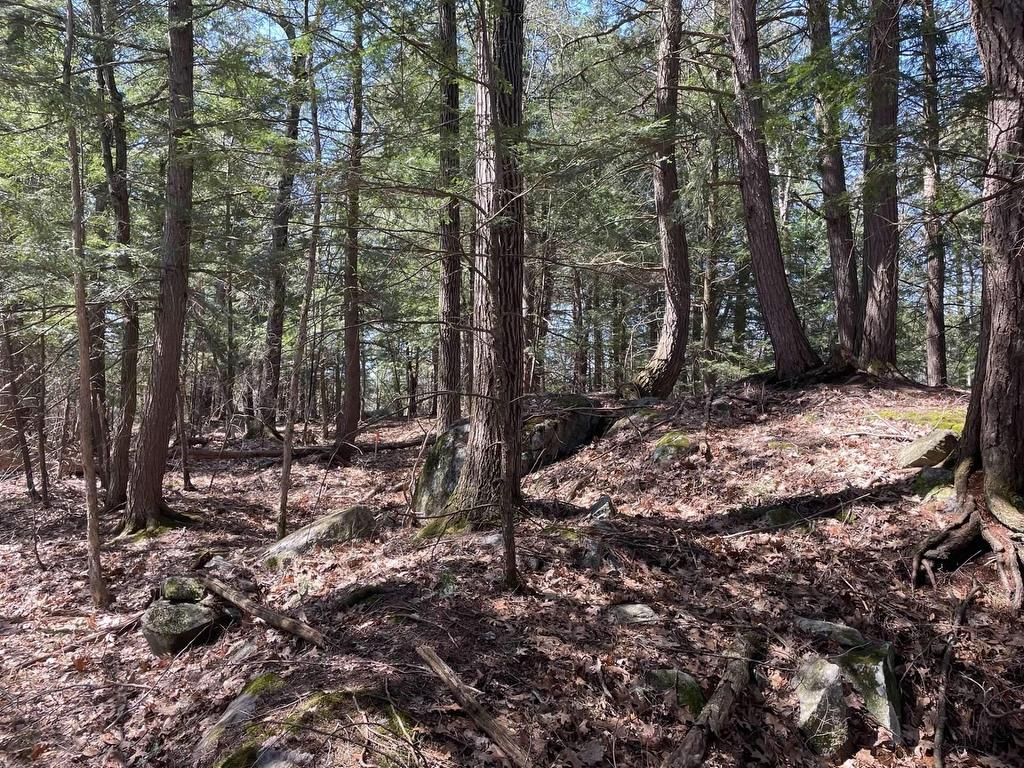 









124B


Ch. Pink

,
Cantley,







QC
J8V2Z5

