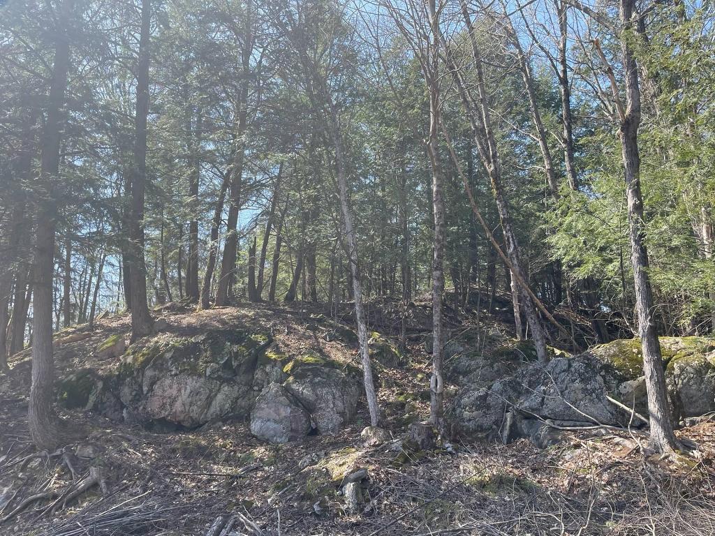 









124B


Ch. Pink

,
Cantley,







QC
J8V2Z5

