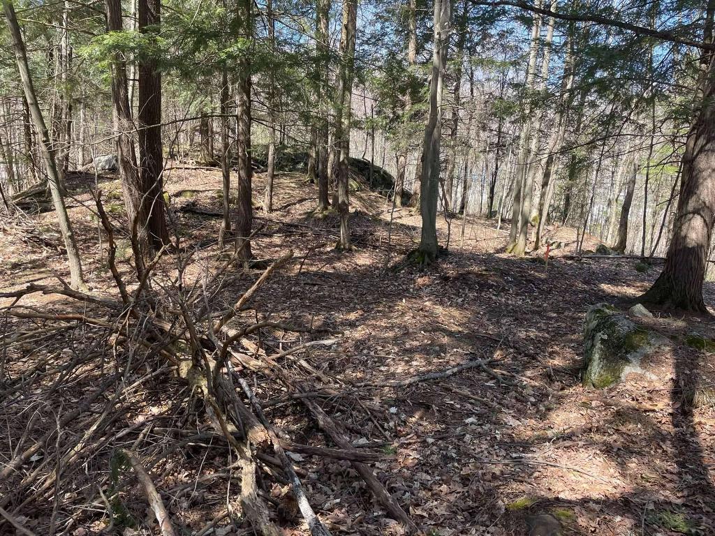









124B


Ch. Pink

,
Cantley,







QC
J8V2Z5

