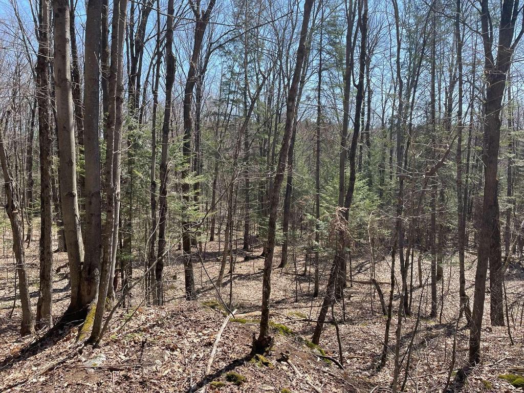









124B


Ch. Pink

,
Cantley,







QC
J8V2Z5

