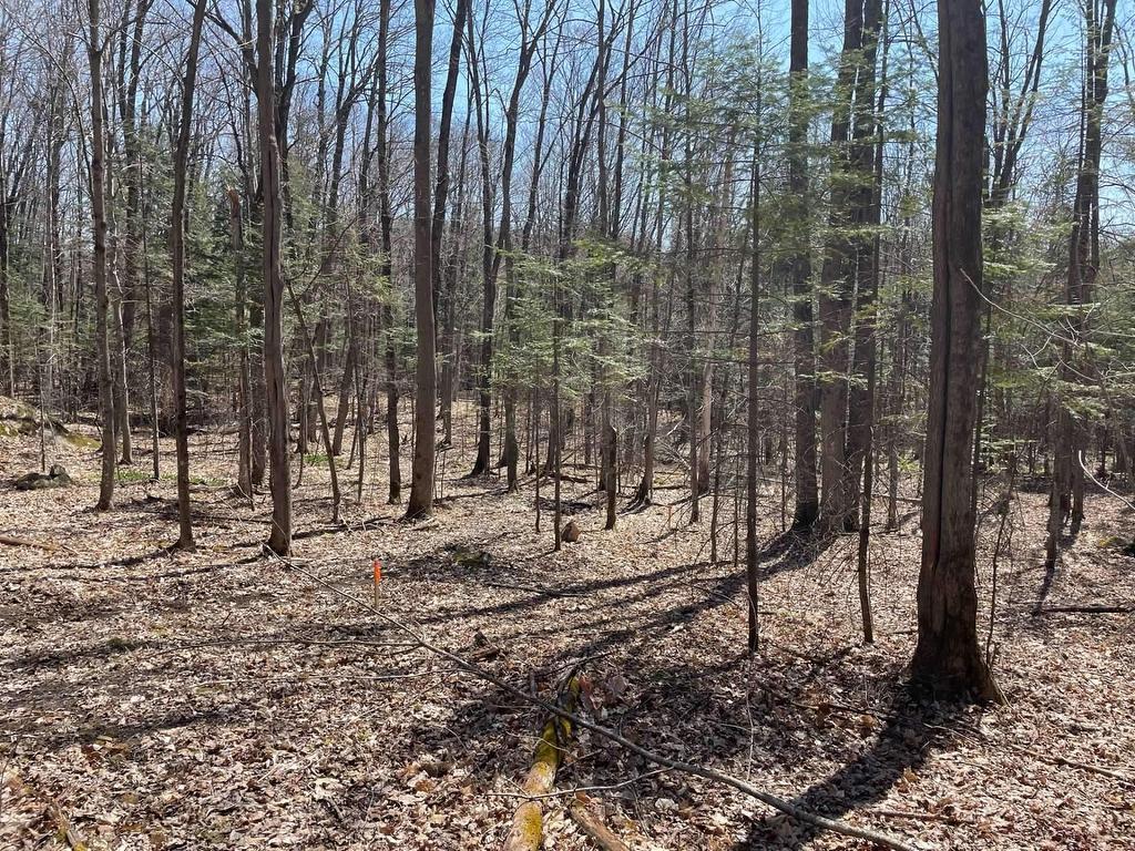 









124B


Ch. Pink

,
Cantley,







QC
J8V2Z5

