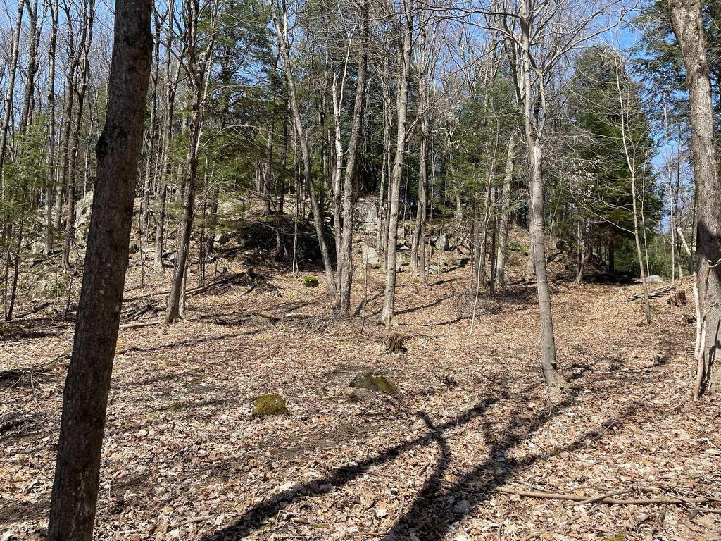 









124B


Ch. Pink

,
Cantley,







QC
J8V2Z5

