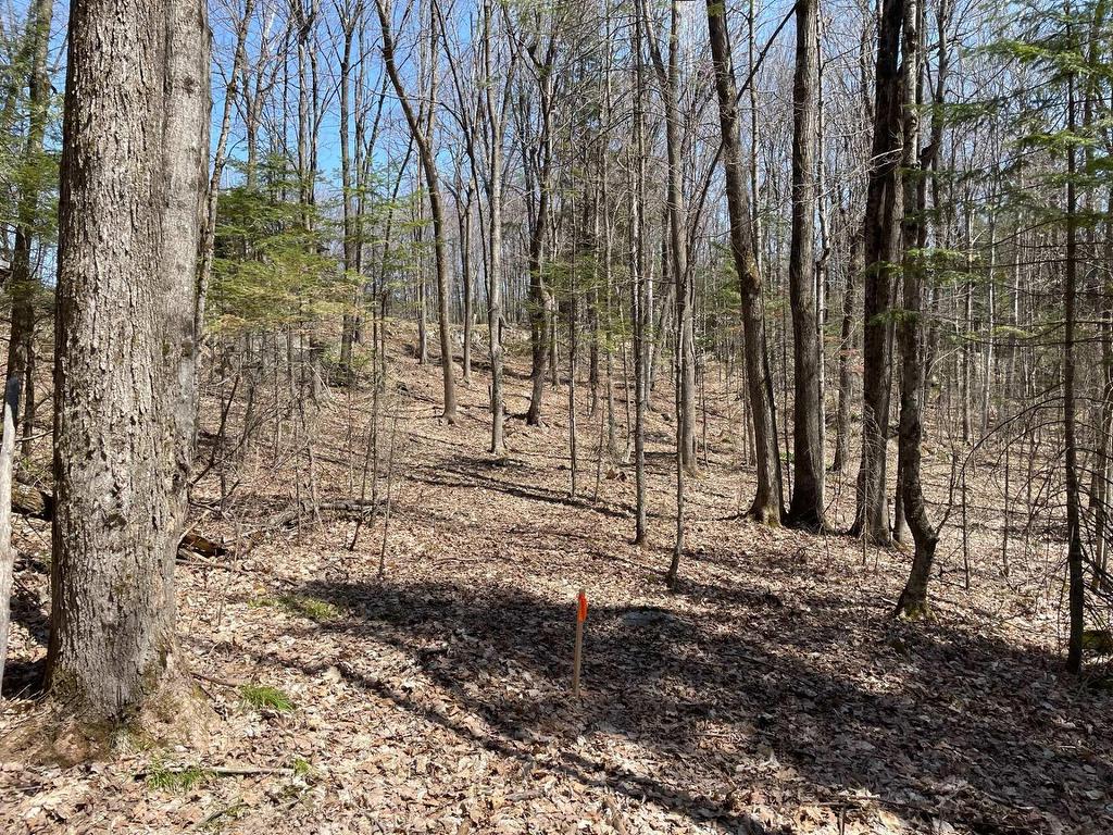 









124B


Ch. Pink

,
Cantley,







QC
J8V2Z5

