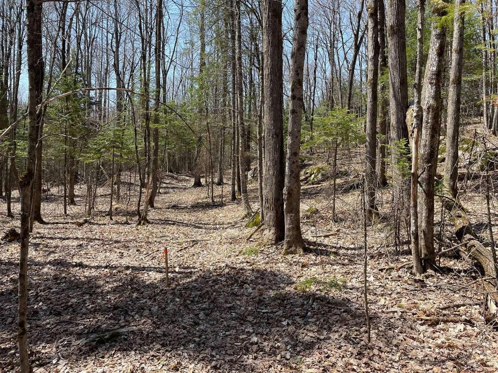 









124B


Ch. Pink

,
Cantley,







QC
J8V2Z5

