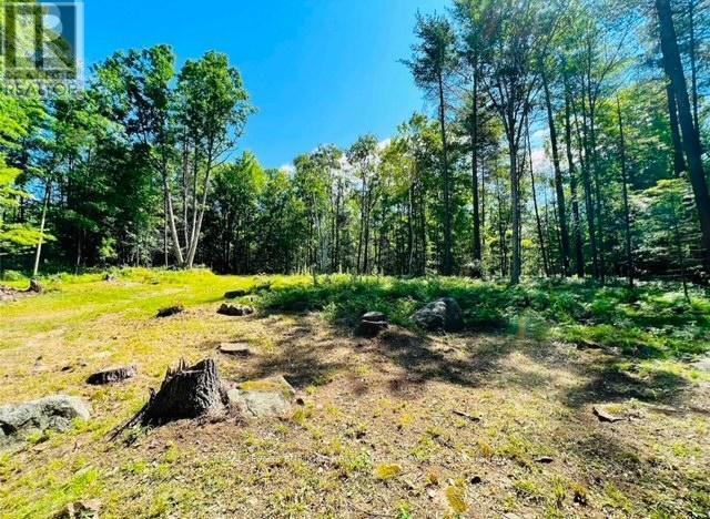 












629 BOWEN ROAD

,
Havelock-Belmont-Methuen,







Ontario
K0L1Z0

