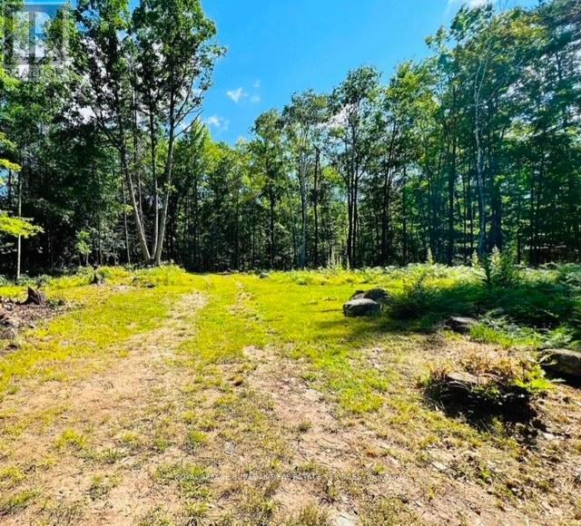 












629 BOWEN ROAD

,
Havelock-Belmont-Methuen,







Ontario
K0L1Z0

