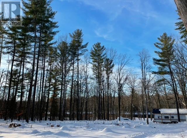 












629 BOWEN ROAD

,
Havelock-Belmont-Methuen,







Ontario
K0L1Z0

