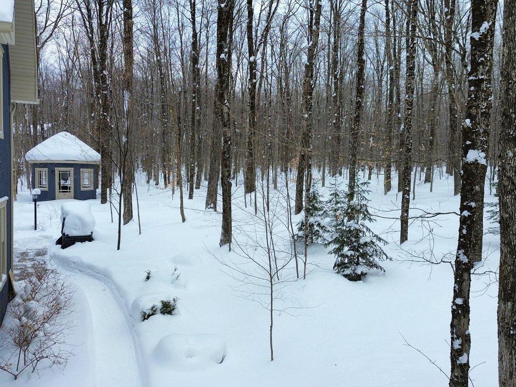 









82


Rue Meunier

,
Eastman,




QC
J0E1P0

