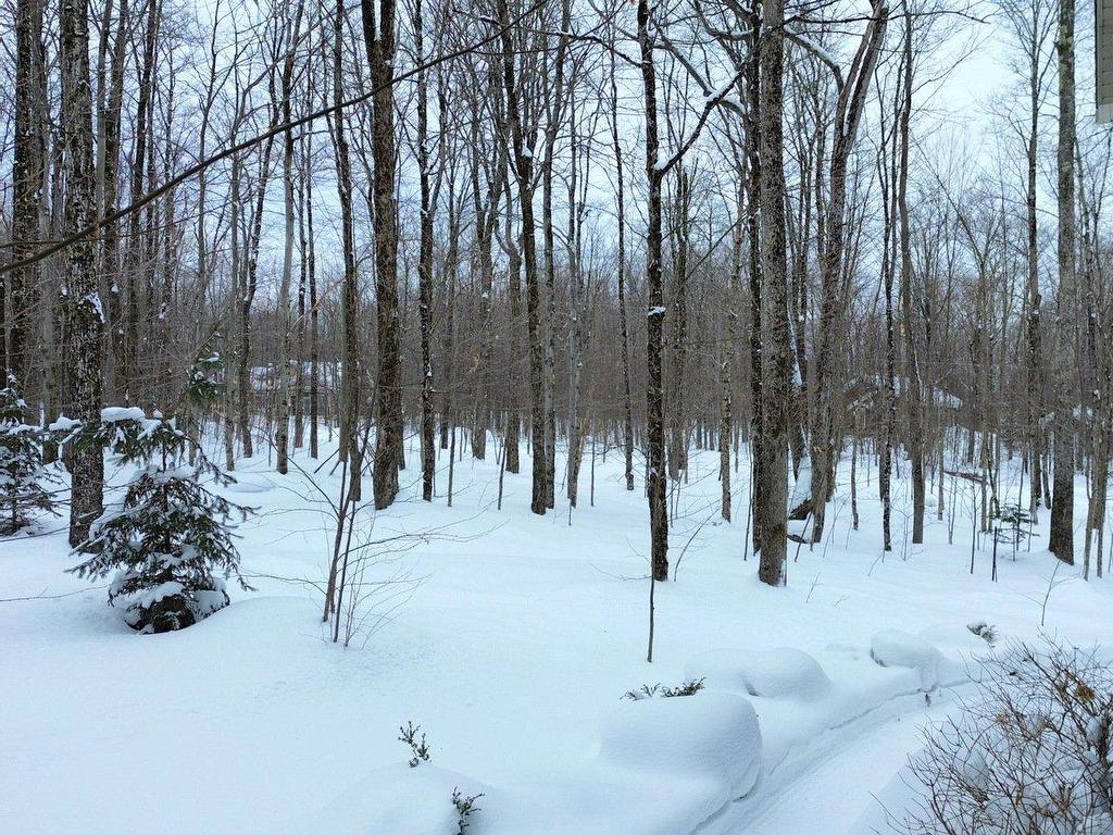 









82


Rue Meunier

,
Eastman,




QC
J0E1P0

