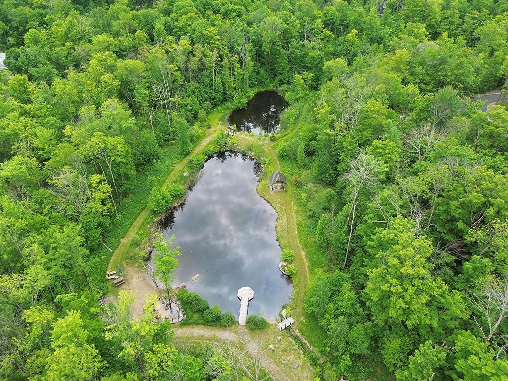









82


Rue Meunier

,
Eastman,




QC
J0E1P0

