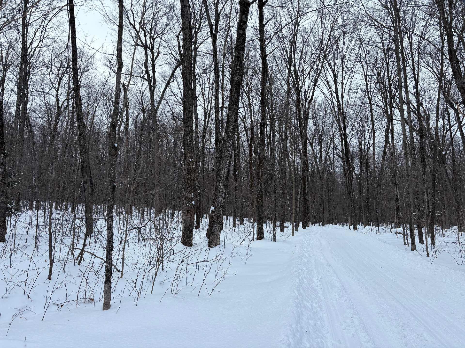 












Route Sir-Wilfrid-Laurier

,
Mirabel,







QC
J7N1L5

