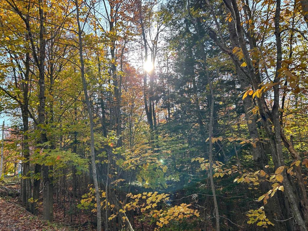












Ch. des Riverains

,
Austin,







QC
J0B1B0

