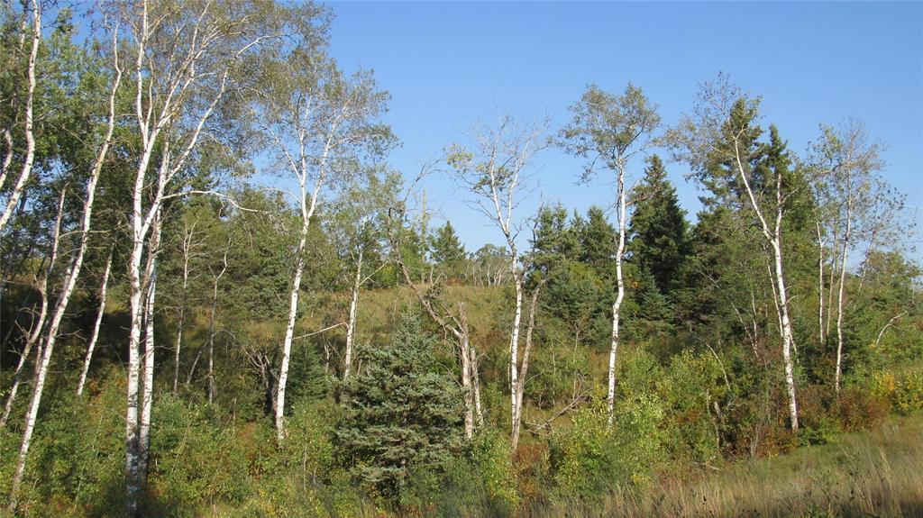 












15 Eagle Mountain Estates

,
Carberry,







Manitoba
R0K0H0

