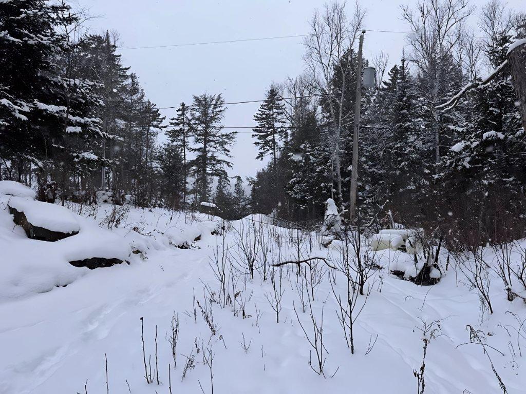 









1385


Ch. de la Presqu'île

,
Labelle,




QC
J0T1H0

