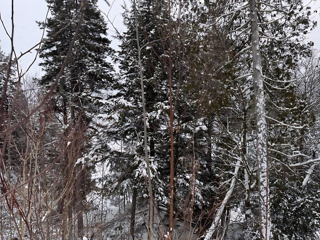 









1385


Ch. de la Presqu'île

,
Labelle,




QC
J0T1H0

