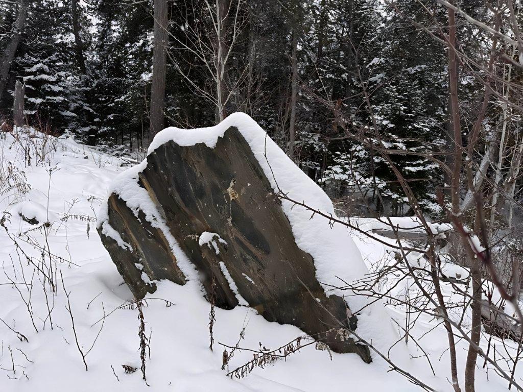 









1385


Ch. de la Presqu'île

,
Labelle,




QC
J0T1H0

