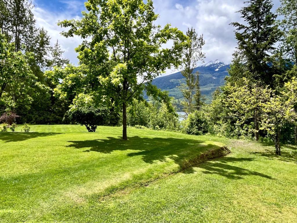 









185


DONNELLYS

Road,
Nakusp,




BC
V0G 1R1

