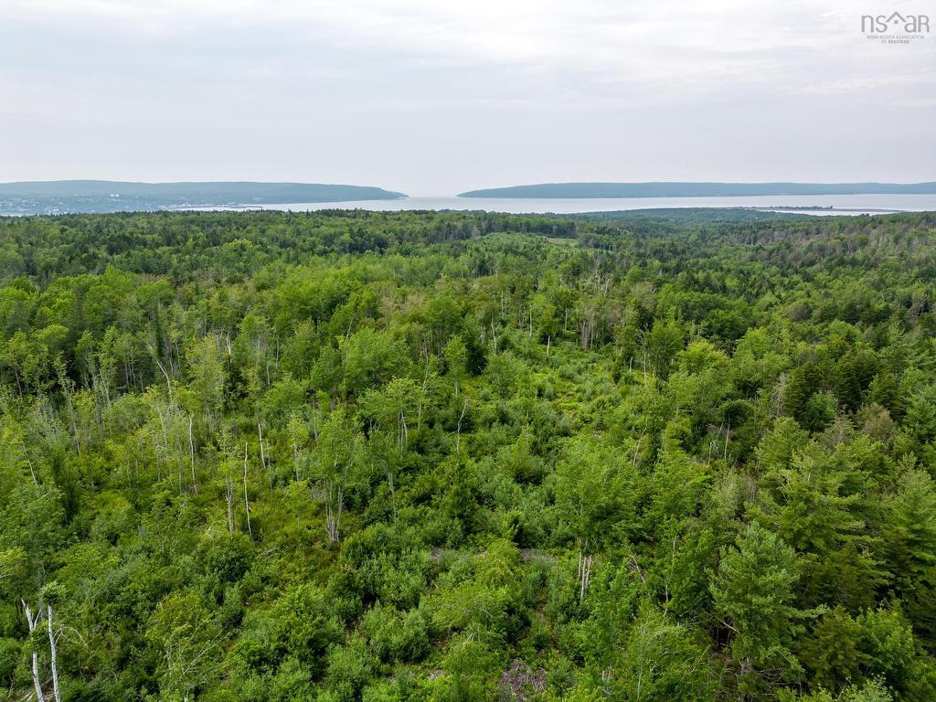 












Lot 3 Back Road

,
Lansdowne,







NS
B0V 1A0

