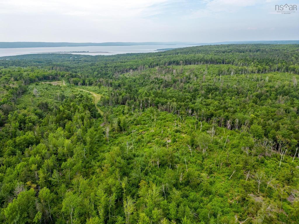 












Lot 3 Back Road

,
Lansdowne,







NS
B0V 1A0

