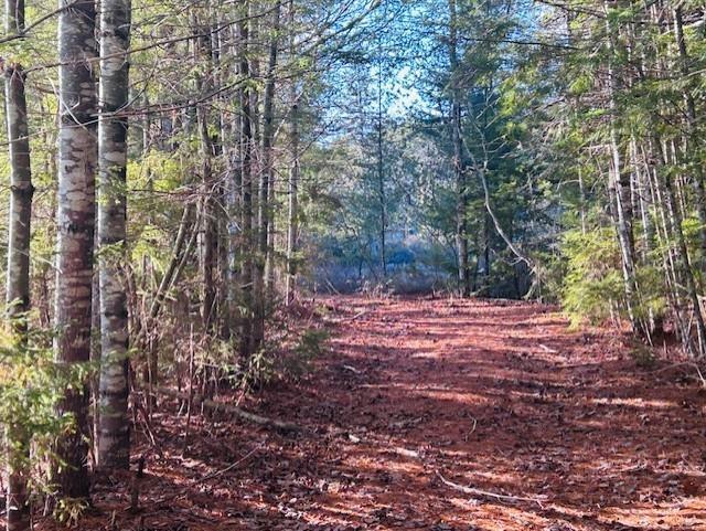 












351 Narrows Road W

,
Labelle,




NS
B0T 1E0

