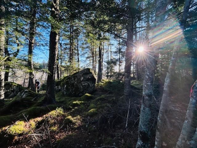












351 Narrows Road W

,
Labelle,




NS
B0T 1E0

